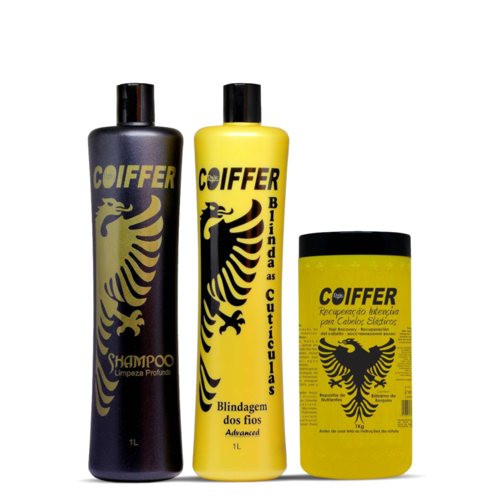 Nanoplasty set COIFFER BLINDAGEM ADVANCED 1000/1000/1000 ml for hair