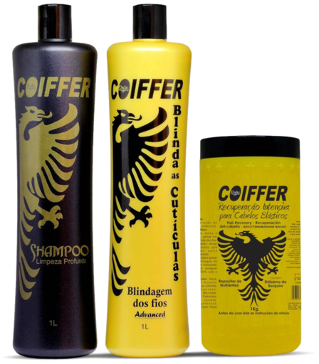 [3173] Nanoplasty set COIFFER BLINDAGEM ADVANCED 1000/1000/1000 ml for hair